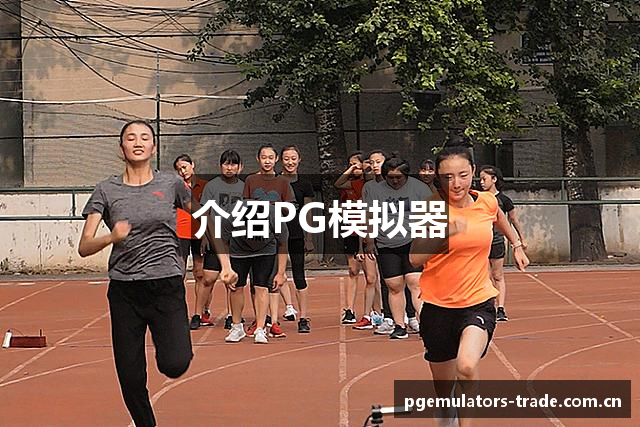 介绍PG模拟器